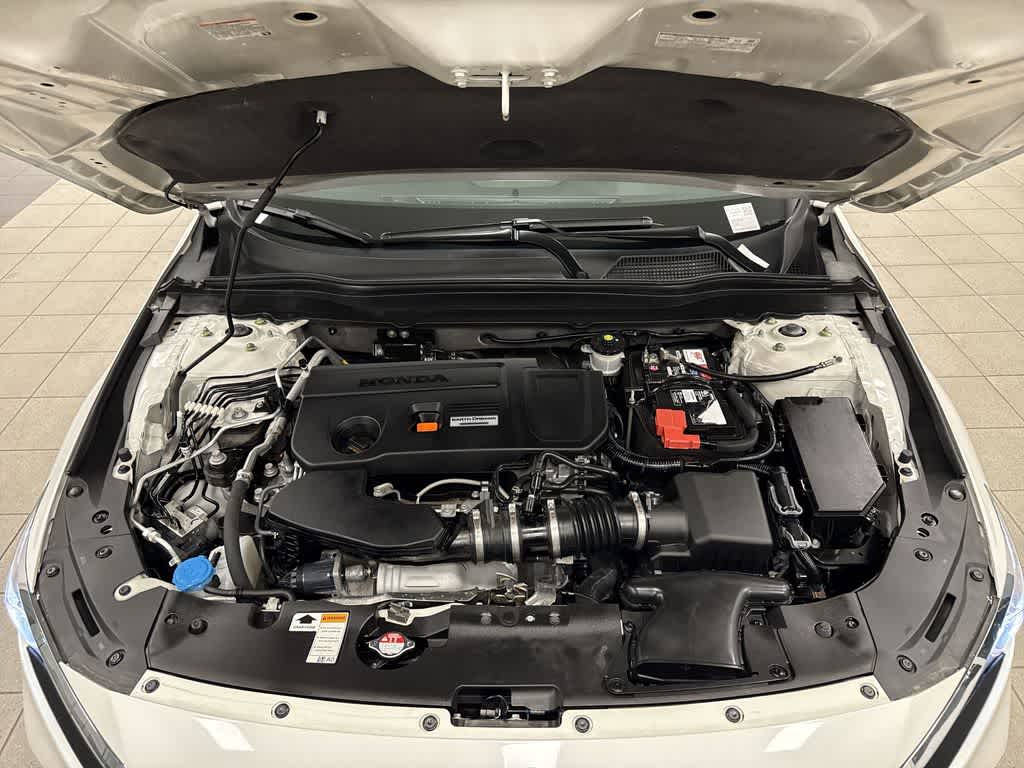 Honda Accord Sedán EX-L 2.0T de 2019