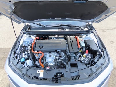 Honda Accord Sport 2026