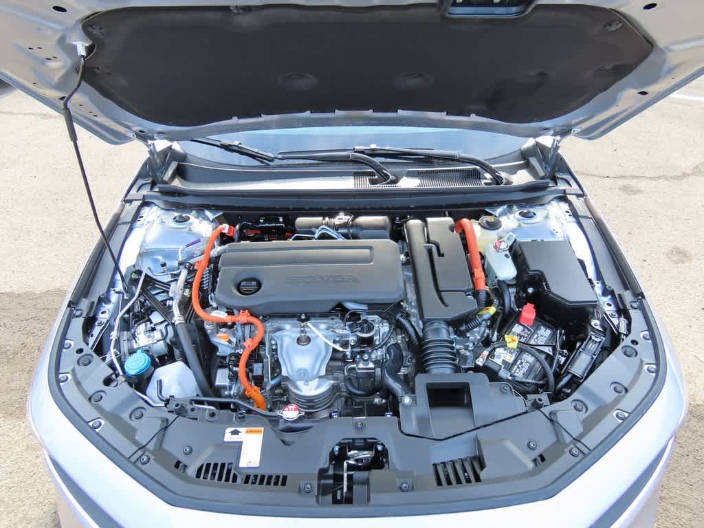 Honda Accord Sport 2026