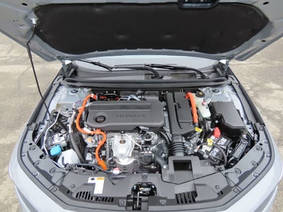 Honda Accord Sport 2026