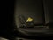 Honda Fit EX de 2015