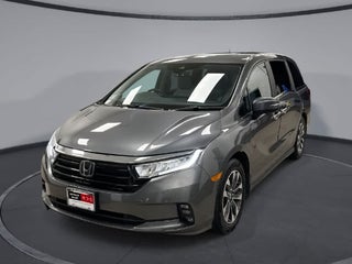 Honda Odyssey EX-L 2024