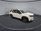 Honda Pilot Sport 2025