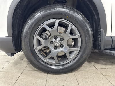 2023 Honda Pilot TrailSport