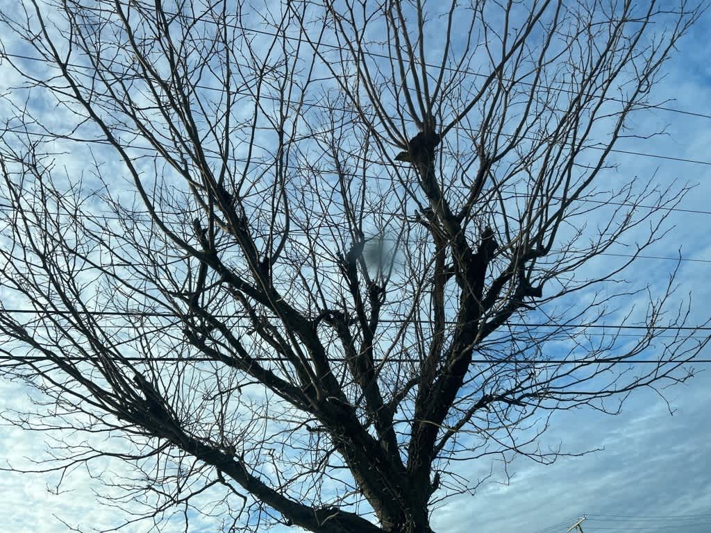 Hyundai Elantra Value Edition 2020