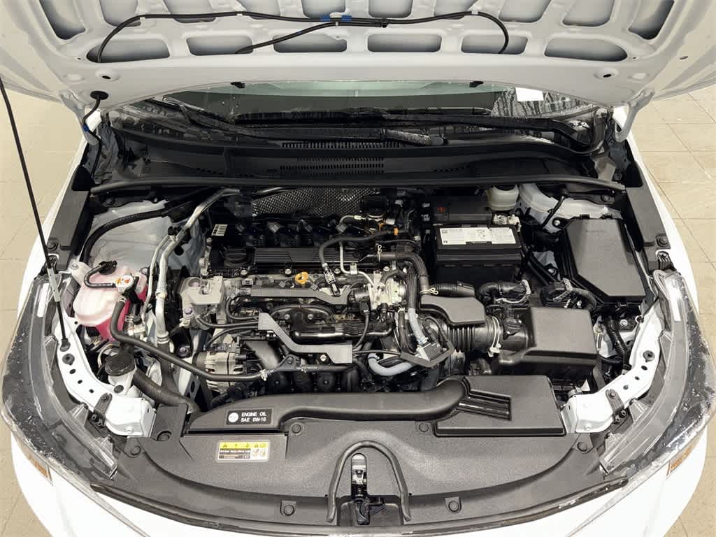 Toyota Corolla LE 2023