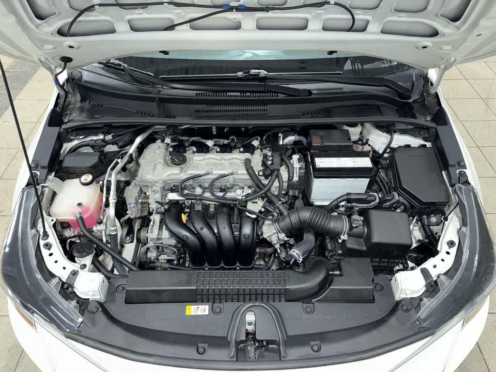 Toyota Corolla LE 2020