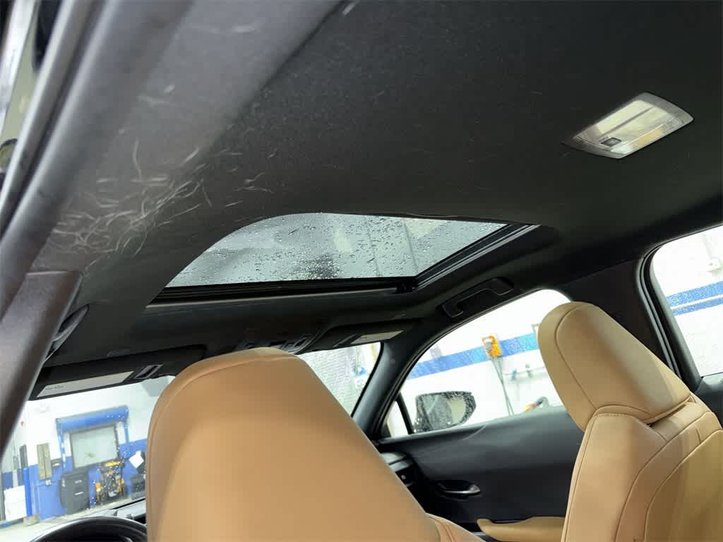 Lexus UX 250h 2024 UX 250h Premium