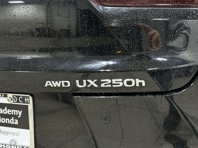 Lexus UX 250h 2024 UX 250h Premium