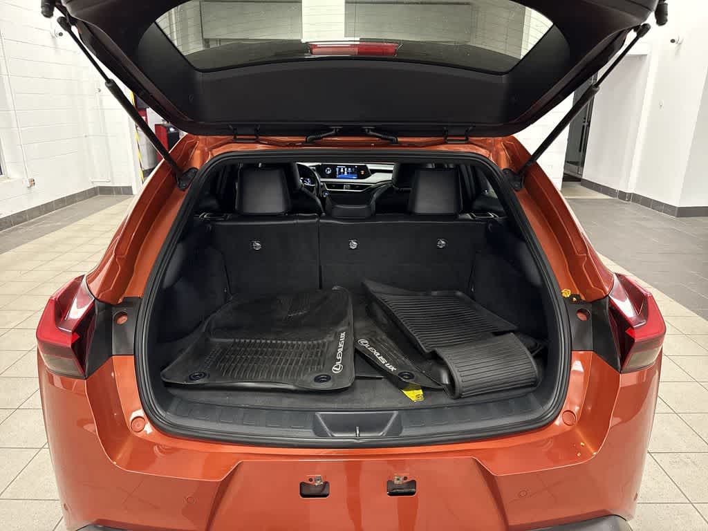 Lexus UX 250h 2019 UX 250h
