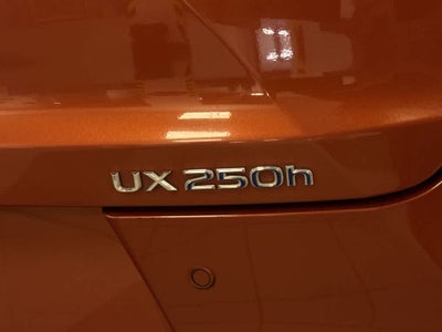 Lexus UX 250h 2019 UX 250h