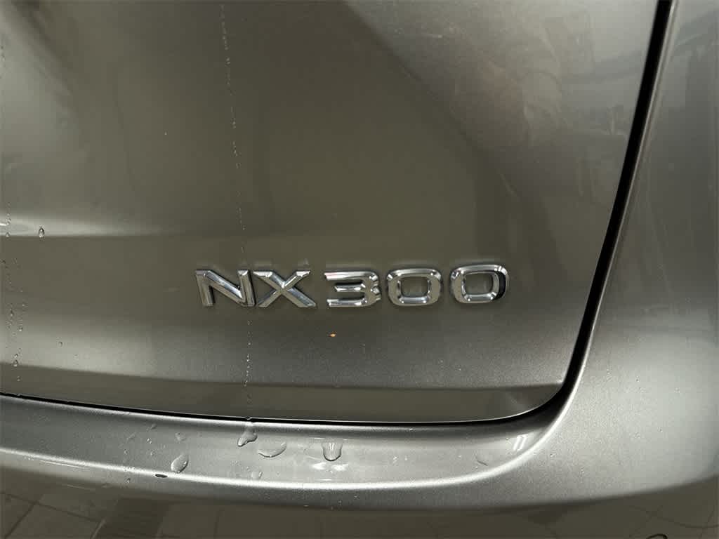 Lexus NX 300 2020 NX 300