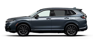 DCH Academia Honda en Old Bridge NJ