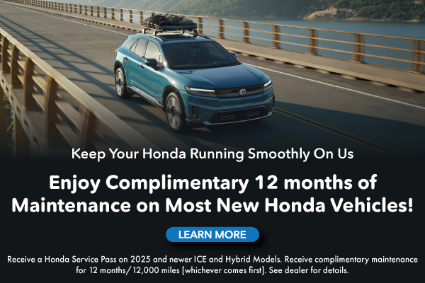 12 meses de mantenimiento gratuito