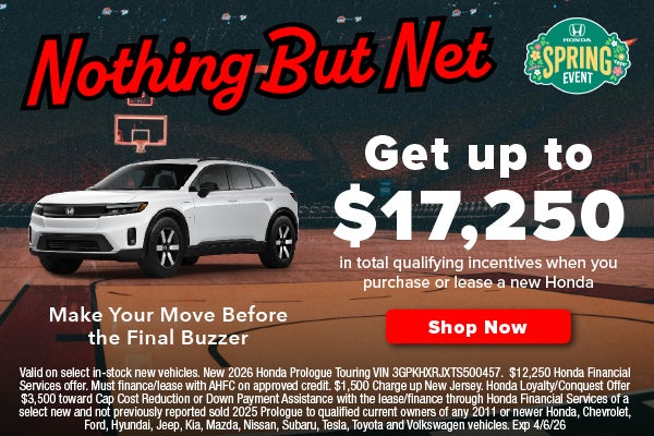 Nada más que la red